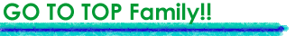 �ȥåץڡ�����ߥ��family